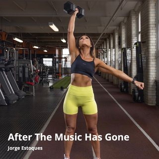 After the Music Has Gone cover art