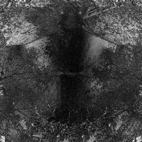 L'échappée des voix (Fuck the old mix) cover art