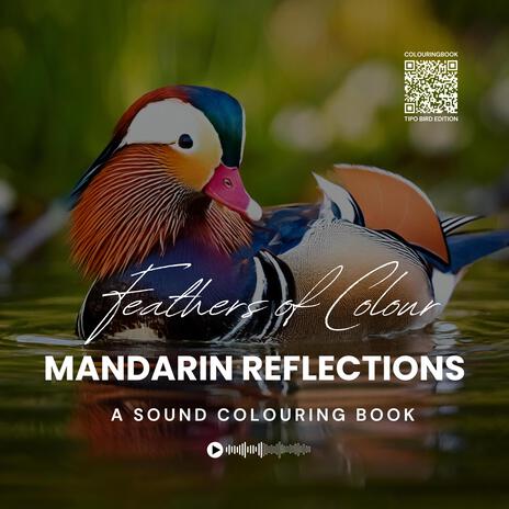 Feathers of Colour: Mandarin Reflections (A Sound Colouring Book) cover art