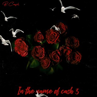 In The Name Of Cash 3