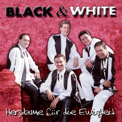 Schreib in dein Tagebuch cover art