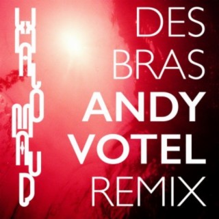 Des Bras (Andy Votel Remix) cover art