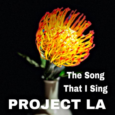 The Song That I Sing cover art