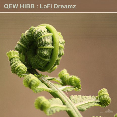 Haptic cover art