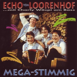 Mega-Stimmig