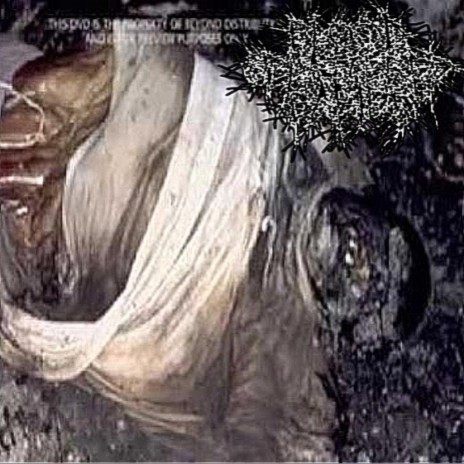 THERE GOES MY INTESTINES! cover art