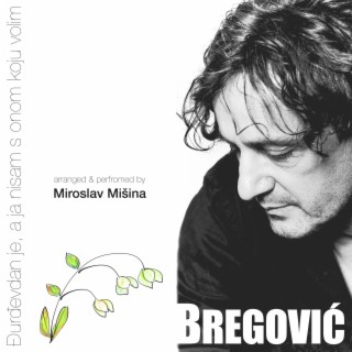 Miroslav Mišina