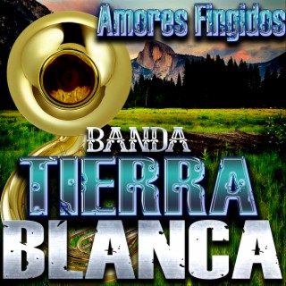 Amores Fingidos