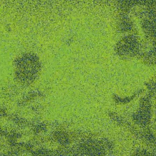 Disªster Prºject