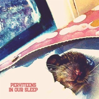 In Our Sleep