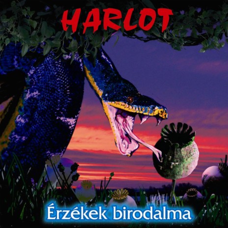 Álmodik a nyomor cover art