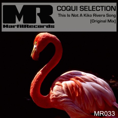 This Is Not A Kiko Rivera Song (Original Mix) cover art