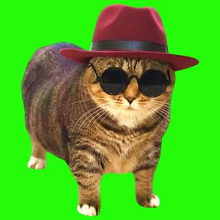 OIIA OIIA UNKNOWN Spinning CAT (Sped Up) (XertXetin Remix) ft. XertXetin