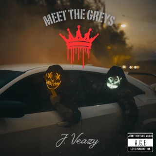 MEET THE GREYS cover art
