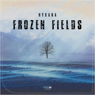 Frozen Fields