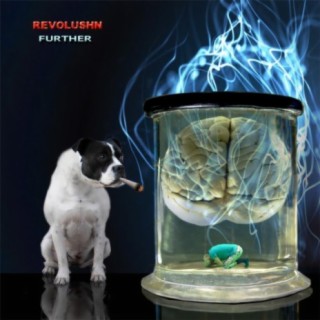 Revolushn