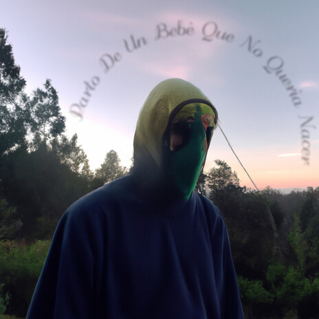 Su Baile Preferido cover art