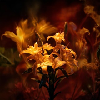 O Günlərdən Qalan 2 ft. Rufat & https://open.spotify.com/intl-tr/artist/0tYHSL4LhZZ6VgWZdFosbd?si=FllfbVETR0mEwG5oVn8Elg cover art