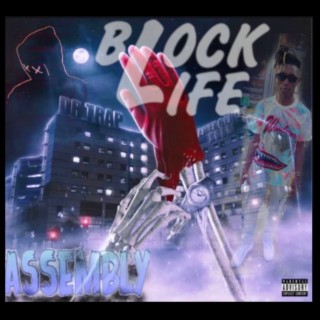 BlockLiFe Assembly
