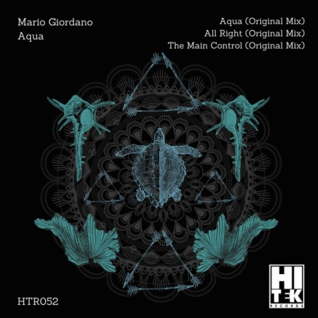 The Main Control (Original Mix) cover art
