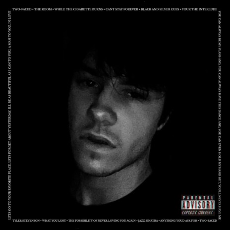 The Possibility Of Never Loving You Again cover art