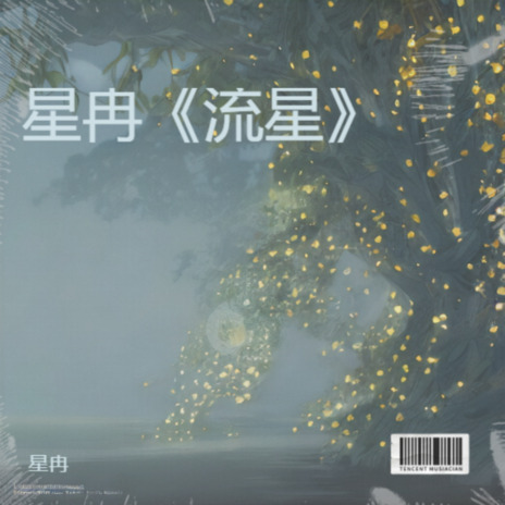 时光的失语者 cover art
