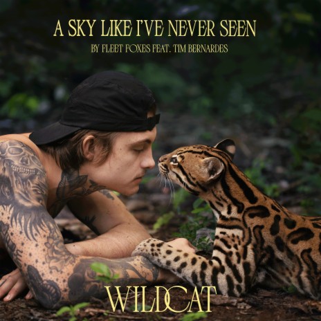 A Sky Like I've Never Seen (From the Amazon Original Movie Wildcat) ft. Tim Bernardes cover art