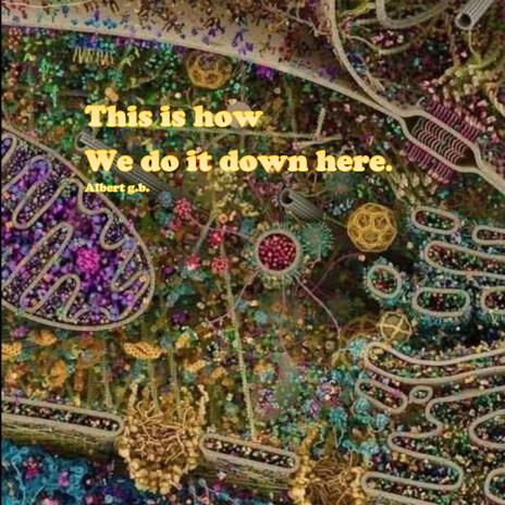 This Is How We Do It Down Here cover art