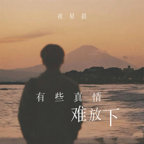 有些真情难放下 (伴奏) cover art