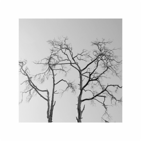 About cover art