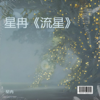 星冉《流星》