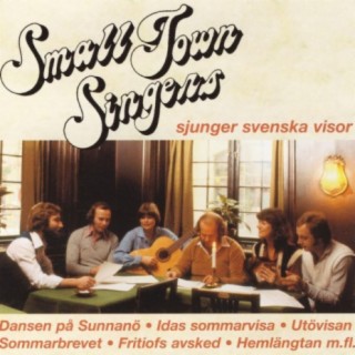 Small Town Singers
