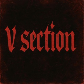 V Section