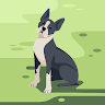 author avatar