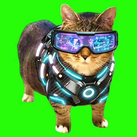 OIIA OIIA VISION Spinning CAT (Slowed)
