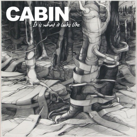 It Is What It Looks Like cover art