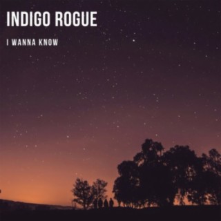 Indigo Rogue
