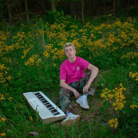 SUN BASK cover art