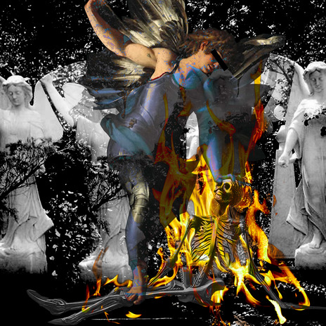 玉孔雀 cover art