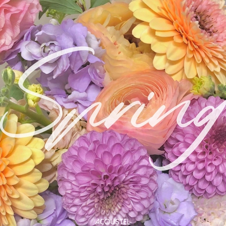Blossom cover art