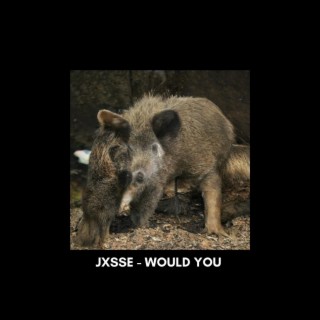 JXSSE