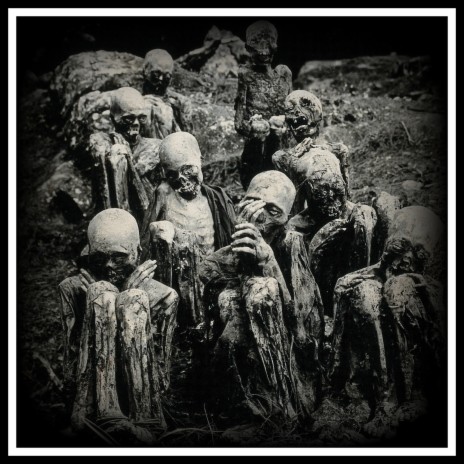 Shallow Graves (Harsh Noise Movement) ft. Harsh Noise Movement cover art
