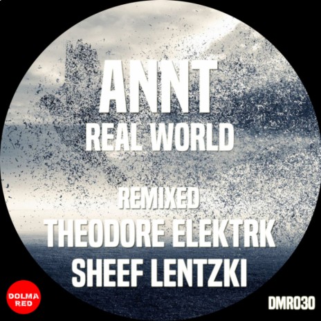 Real World (Theodore Elektrk Remix) cover art