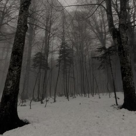 Whispers When It's Cold cover art