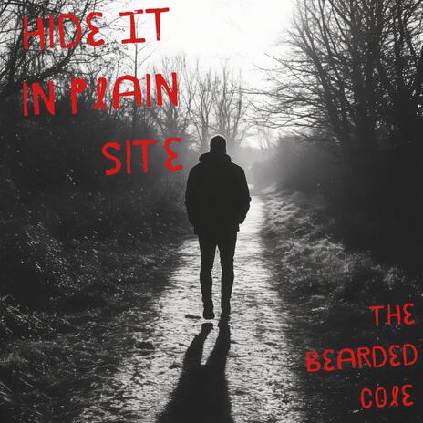 Hide it, In Plain Site cover art