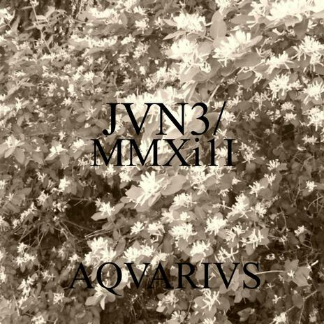 Turmoil cover art