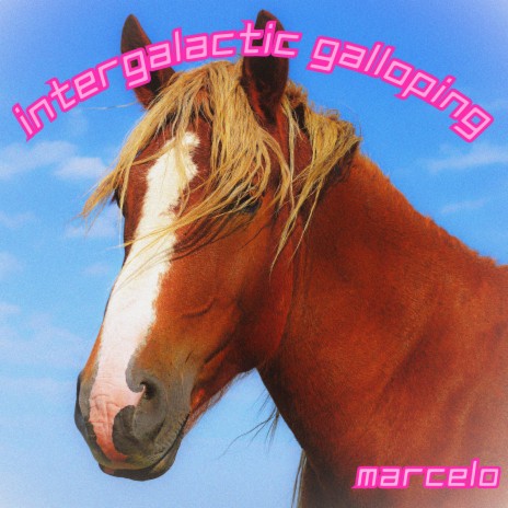 Terrt cover art