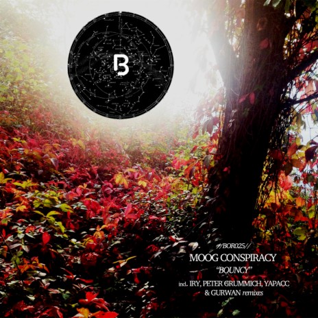 Bouncy (Gurwan Remix) cover art