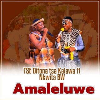 Amaleluwe (feat. Nkwita BW) cover art
