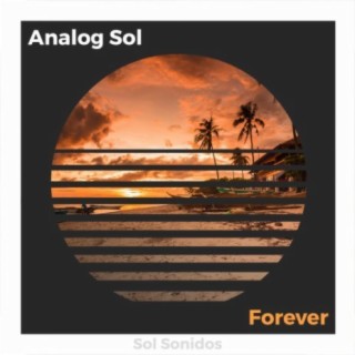 Analog Sol